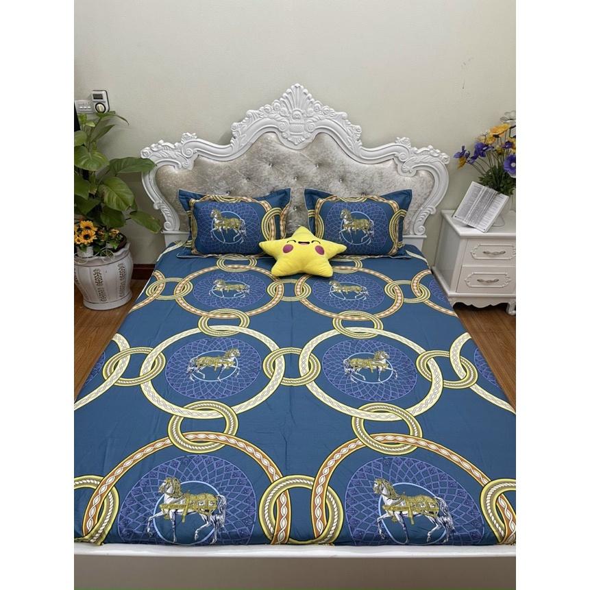 Bộ ga chun trơn và 2 vỏ gối 100% cotton hàn các kích thước