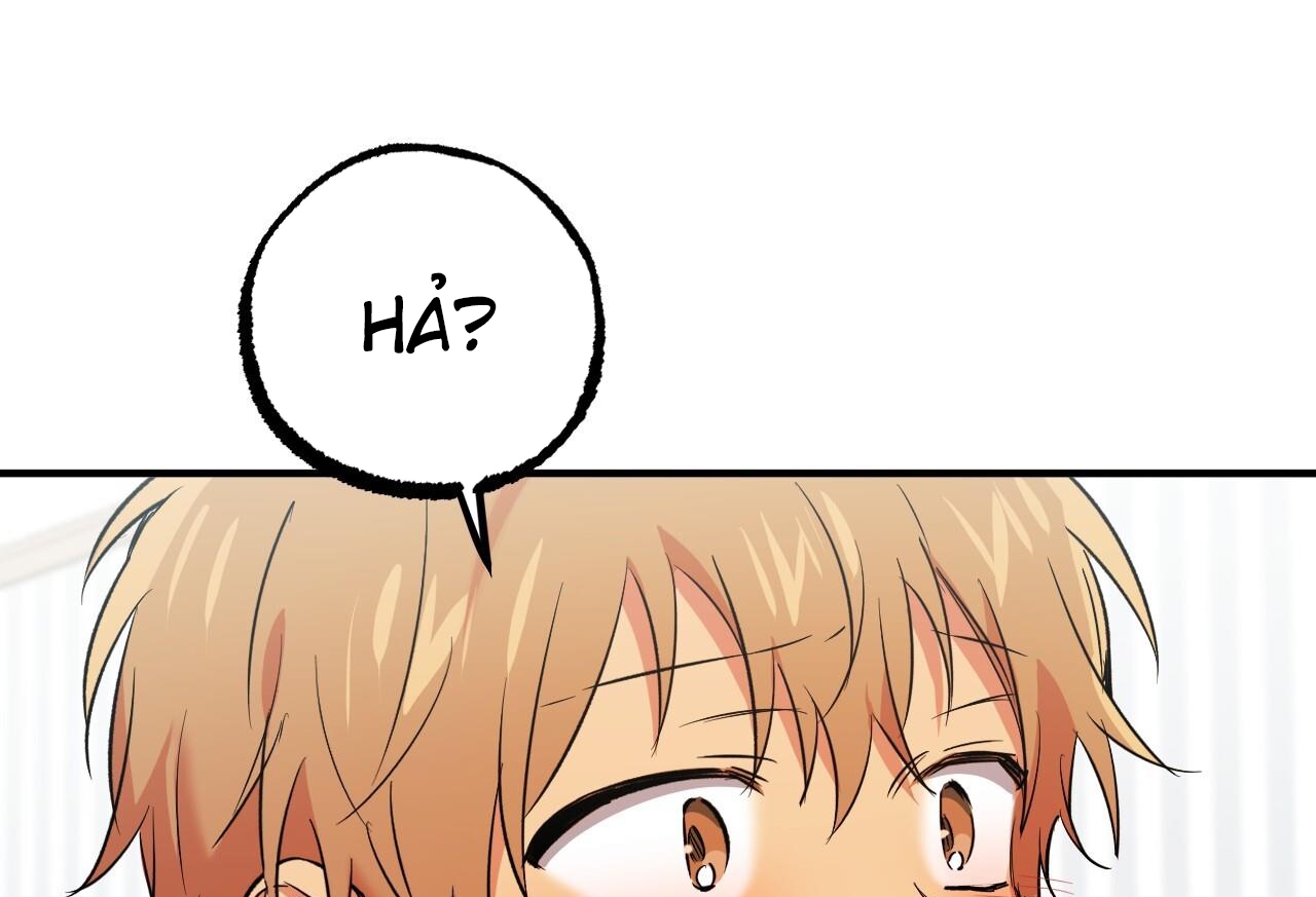 những chú thỏ của hapypy chapter 57 74