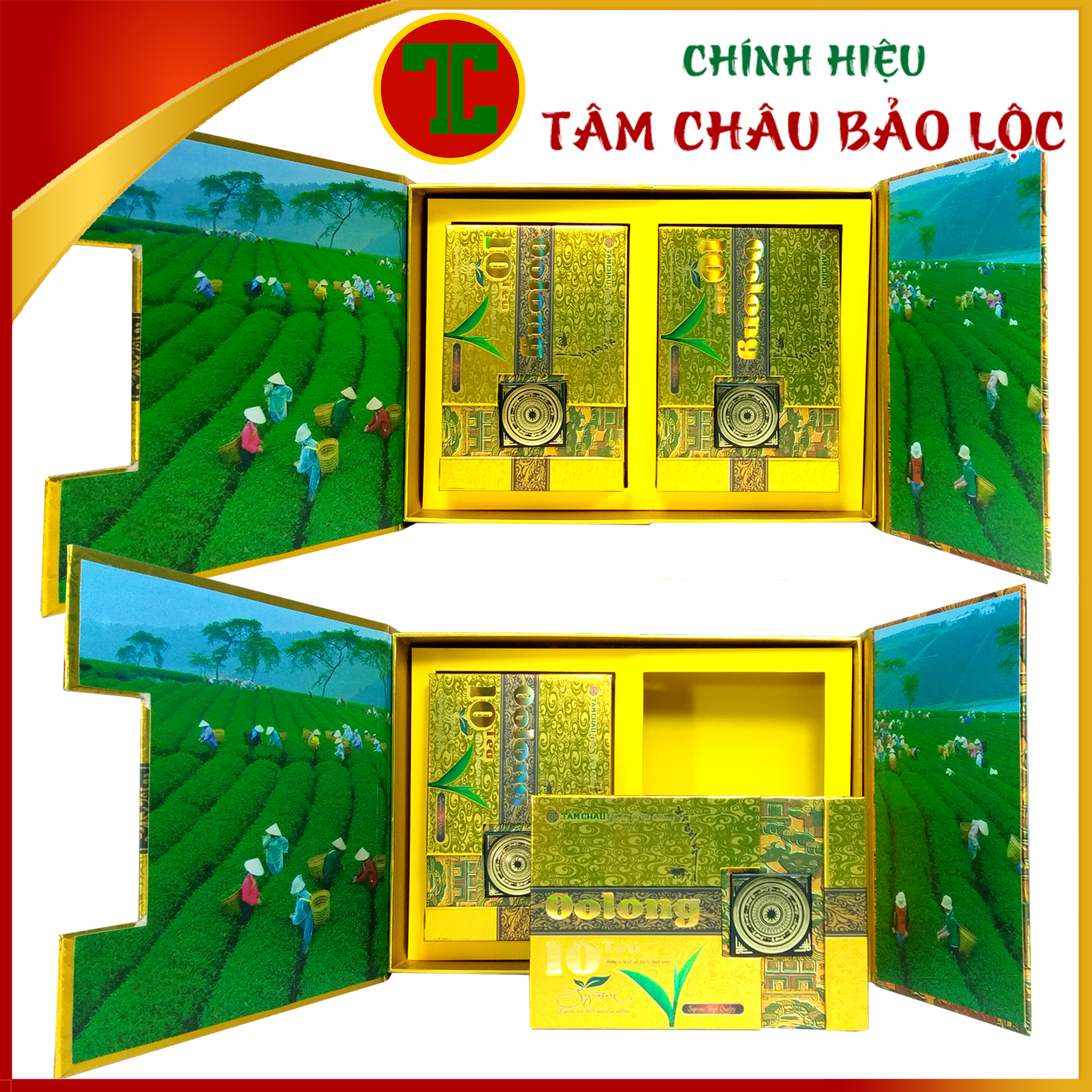 [TÂM CHÂU] Hộp Trà Biếu Oolong 10 Tea Sang Trọng 320G