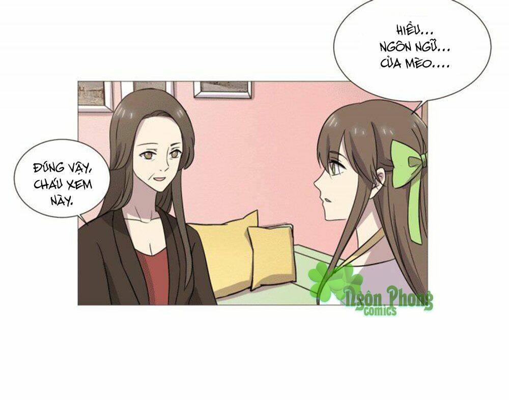 hai chú mèo totem chapter 38 48