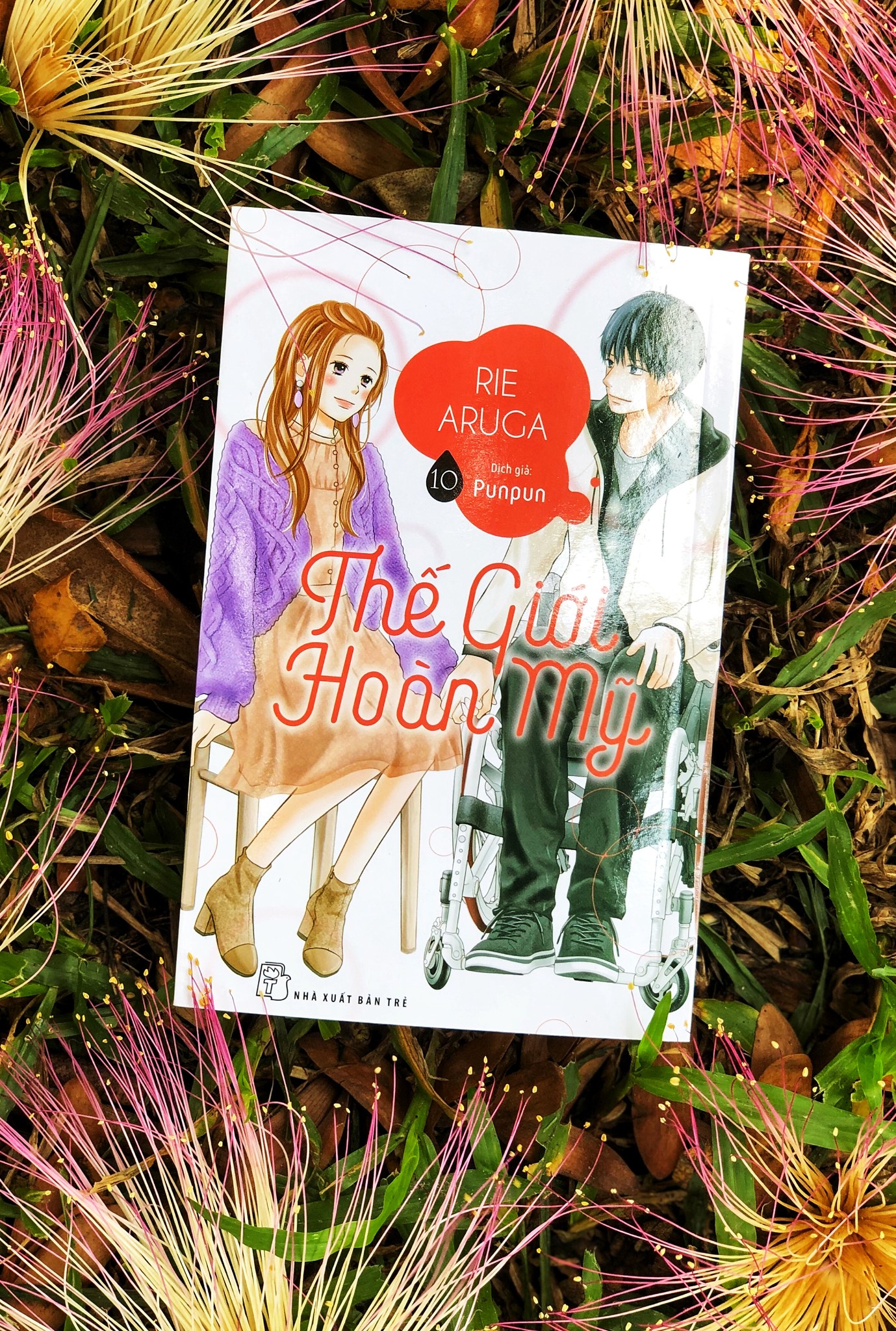 Thế Giới Hoàn Mỹ Tập 10