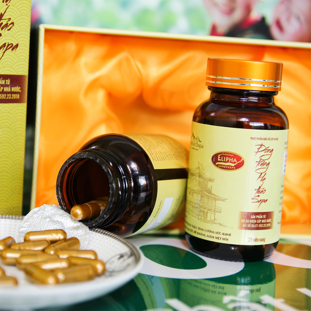 60 Viên nang Đông trùng hạ thảo Traphaco Sapa