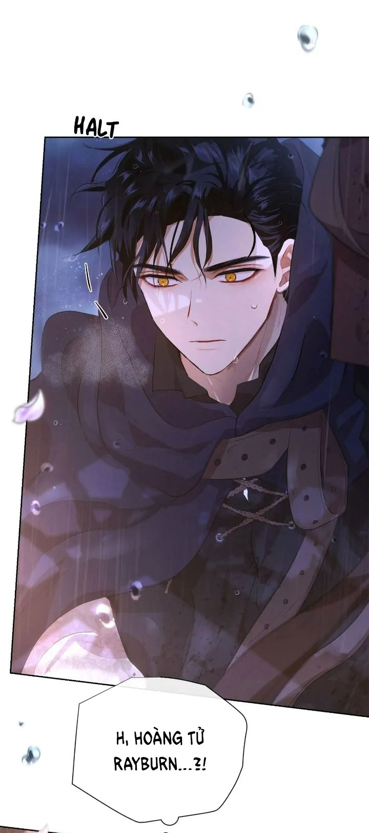 tôi là fan cứng hoàng tử chapter 78.2 25