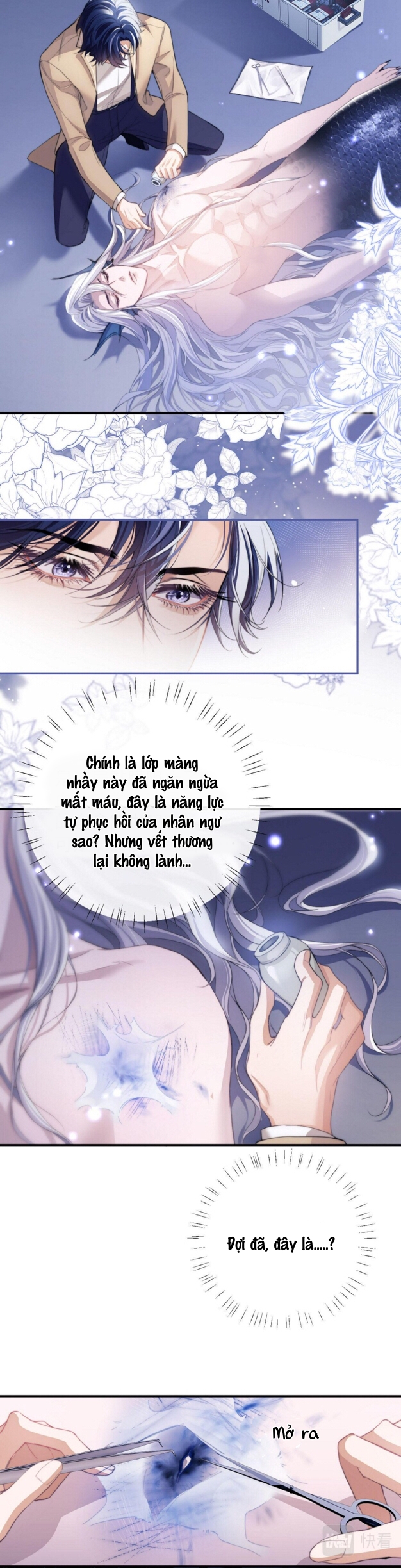 nhân ngư dessaro chapter 4 6