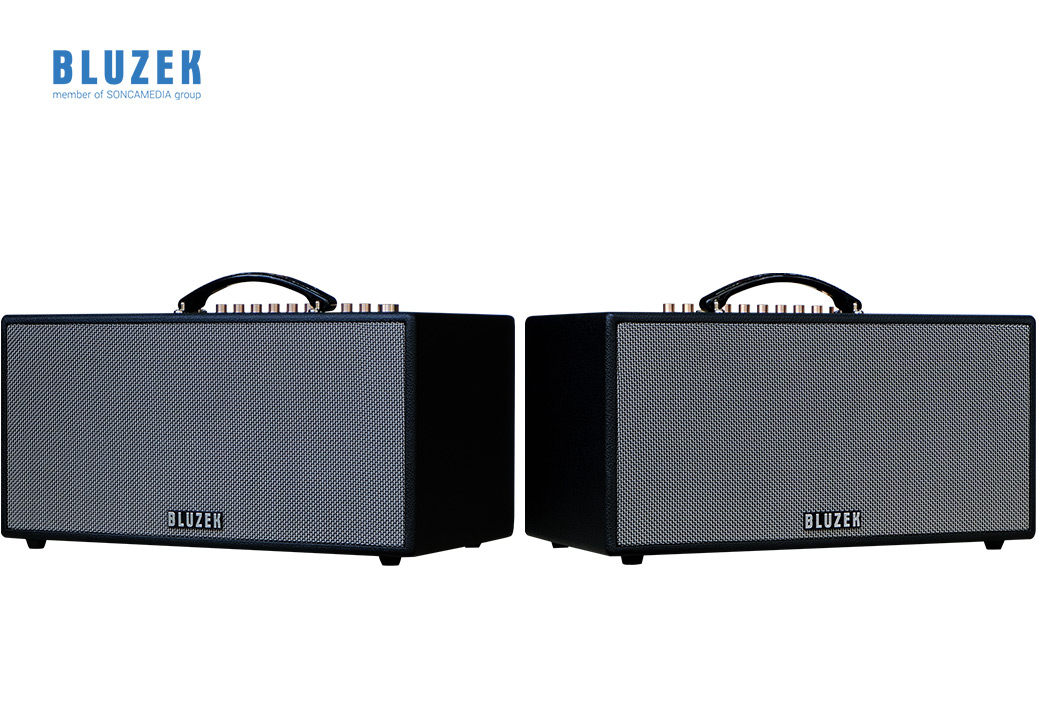 Dàn âm thanh di động xách tay BLUZEK BZ447