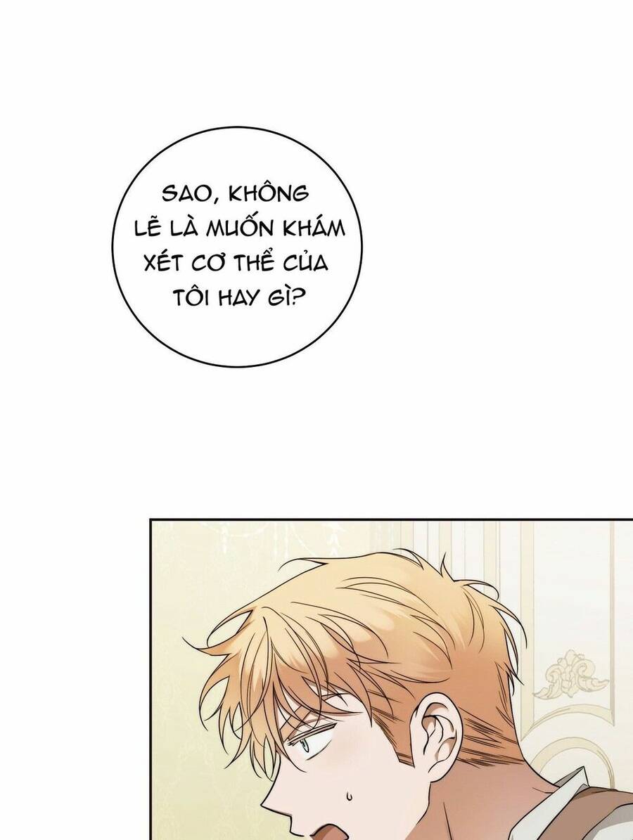 lời nói dối vĩnh cửu của người chapter 10 16