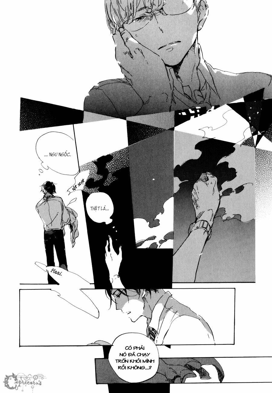 yozora no sumikko de chapter 6 8