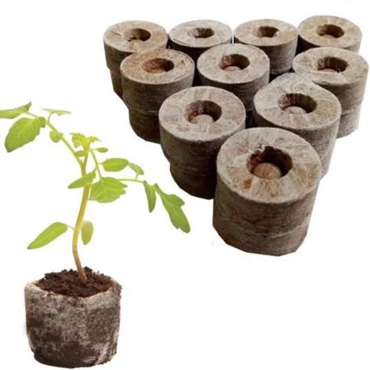 20 viên nén ươm hạt giâm cành - viên nén xơ dừa ươm hạt