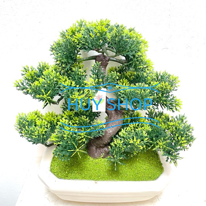 CHẬU TÙNG KIM NHÂN TẠO ĐỂ BÀN 23x25CM SỐ 1