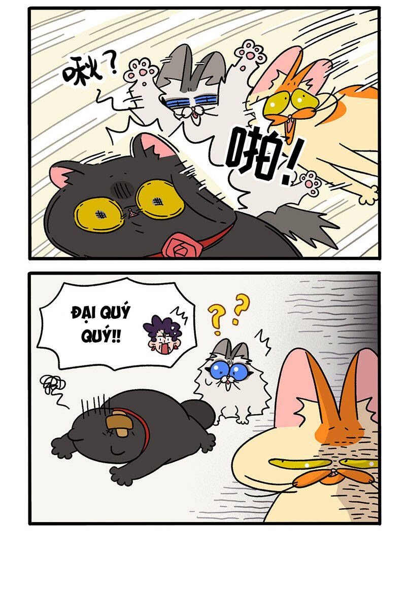 a mãn và mạch trà chapter 35.1 4