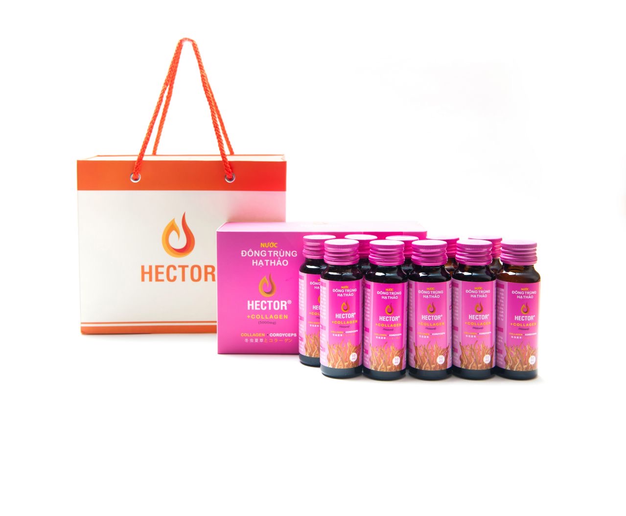 Nước Đông Trùng Hạ Thảo Hector Collagen