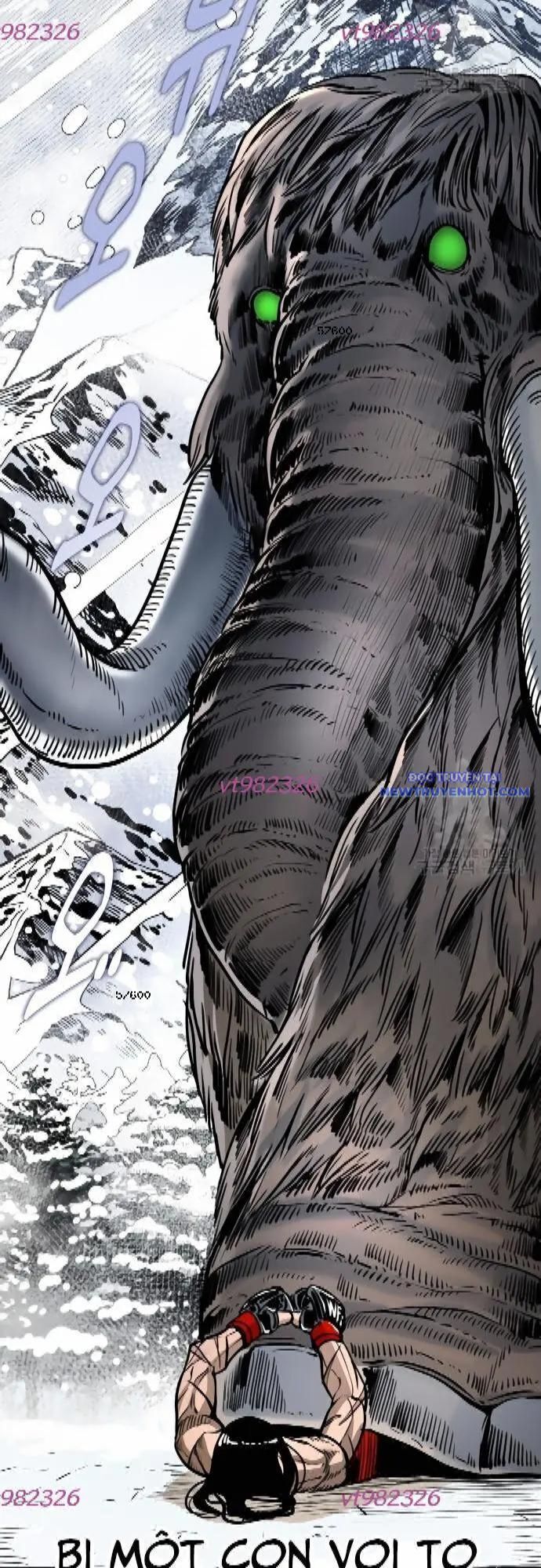 shark - cá mập chapter 284 12