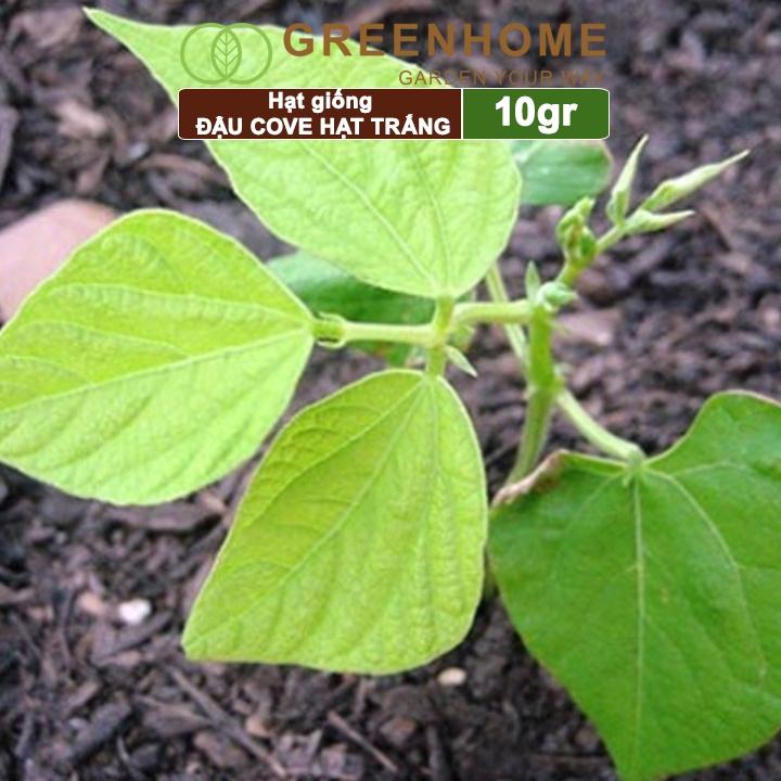 Hạt Giống Đậu Cove Greenhome, Gói 10gr, Dễ Trồng Quanh Năm, Nảy Mầm Cao, Thu Hoạch Nhanh, Năng Suất Cao T07