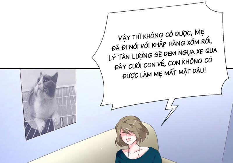 chiến lược lãng mạn của thịnh thiếu chapter 56 9