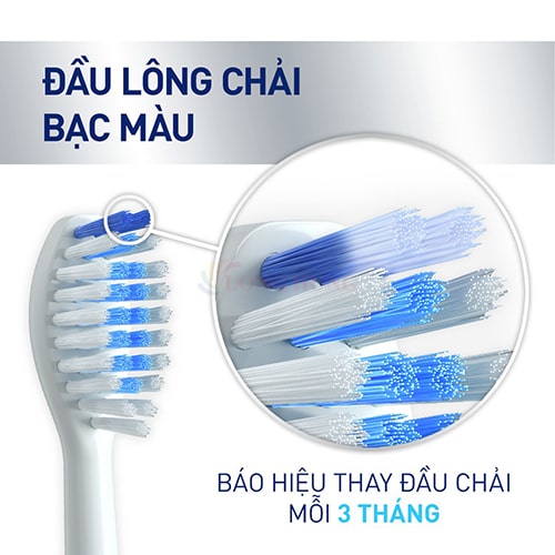 Đầu bàn chải thay thế bàn chải điện P/S S100 PRO (Set 2 cái) - Hàng chính hãng