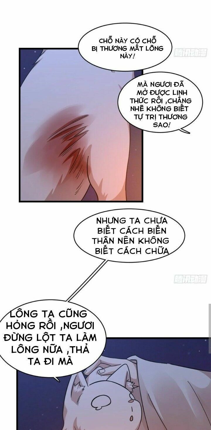 độc bộ thiên hạ: đặc công thần y chapter 209 4