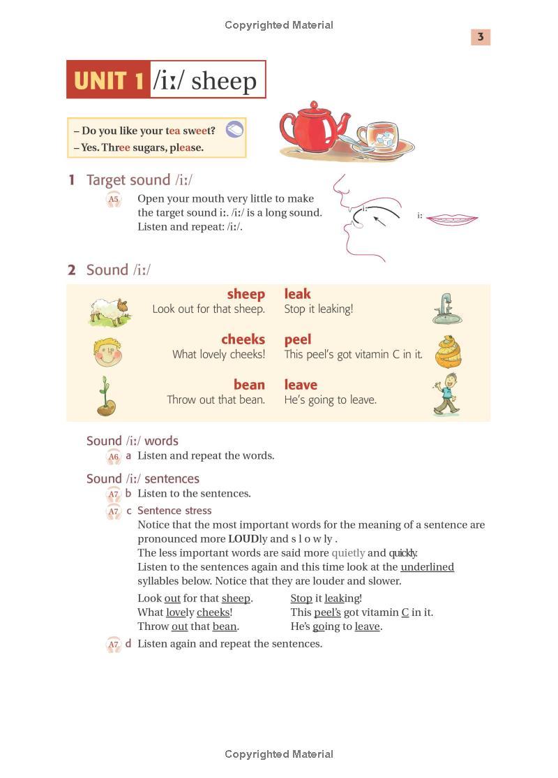 Ship or Sheep? Book and Audio CD Pack: An Intermediate Pronunciation Course