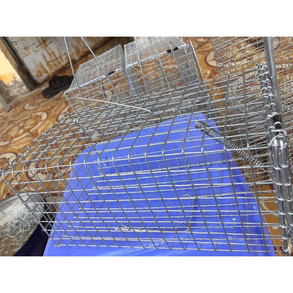 Sét 02 Bẫy chuột cống, sóc MÓC không rỉ sét