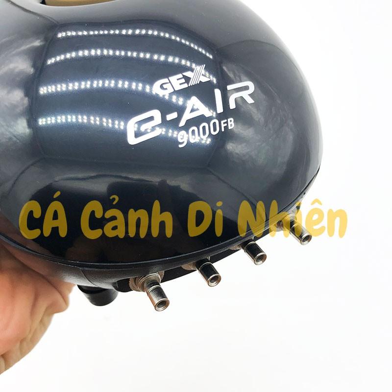 Máy sủi khí Oxy Siêu Êm 4 vòi Gex E-AIR 9000FB cho hồ cá