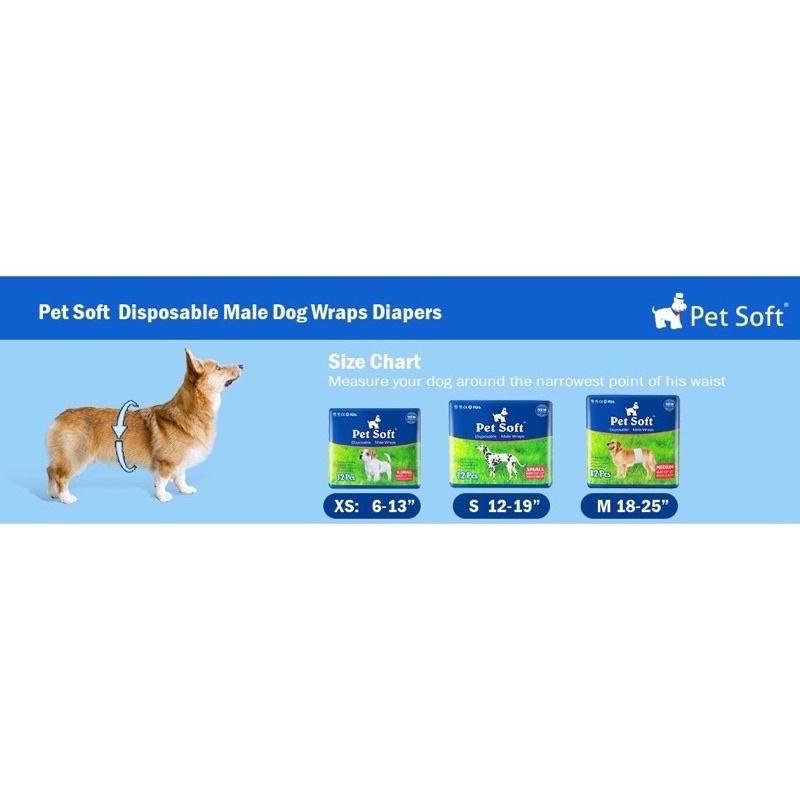 Bỉm dành riêng cho chó đực, tã cho chó đực Pet Soft công nghệ cao 12 miếng dày