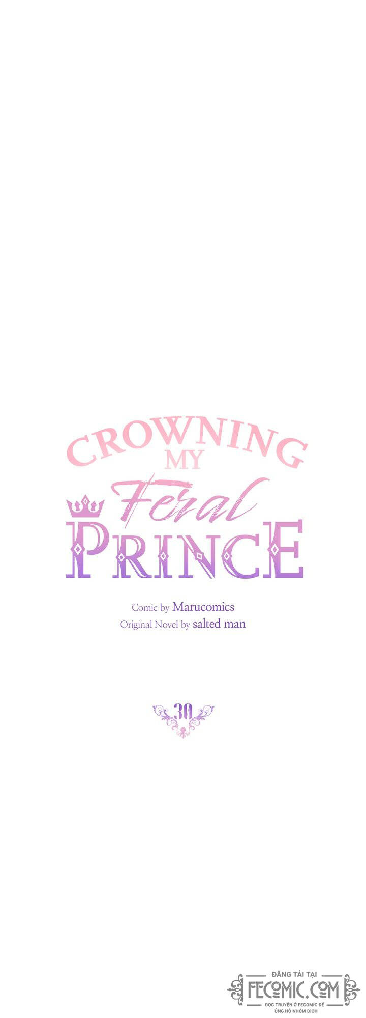 cách để trao vương miện cho vị hoàng tử hoang dã của tôi chapter 30 10