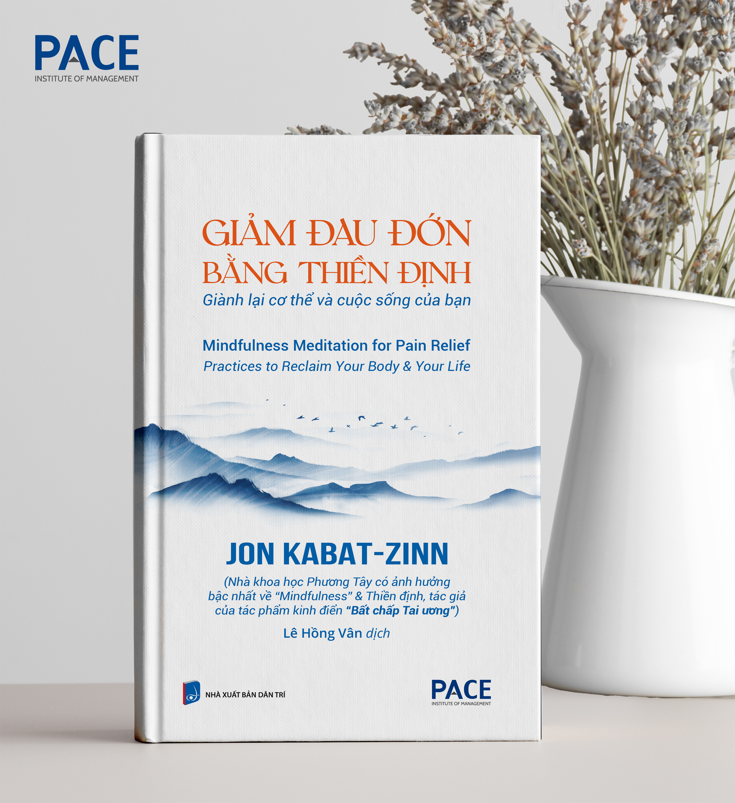 Sách - Giảm đau đớn bằng thiền định (Mindfulness Meditation for Pain Relief) - Jon Kabat-Zinn - IRED Books