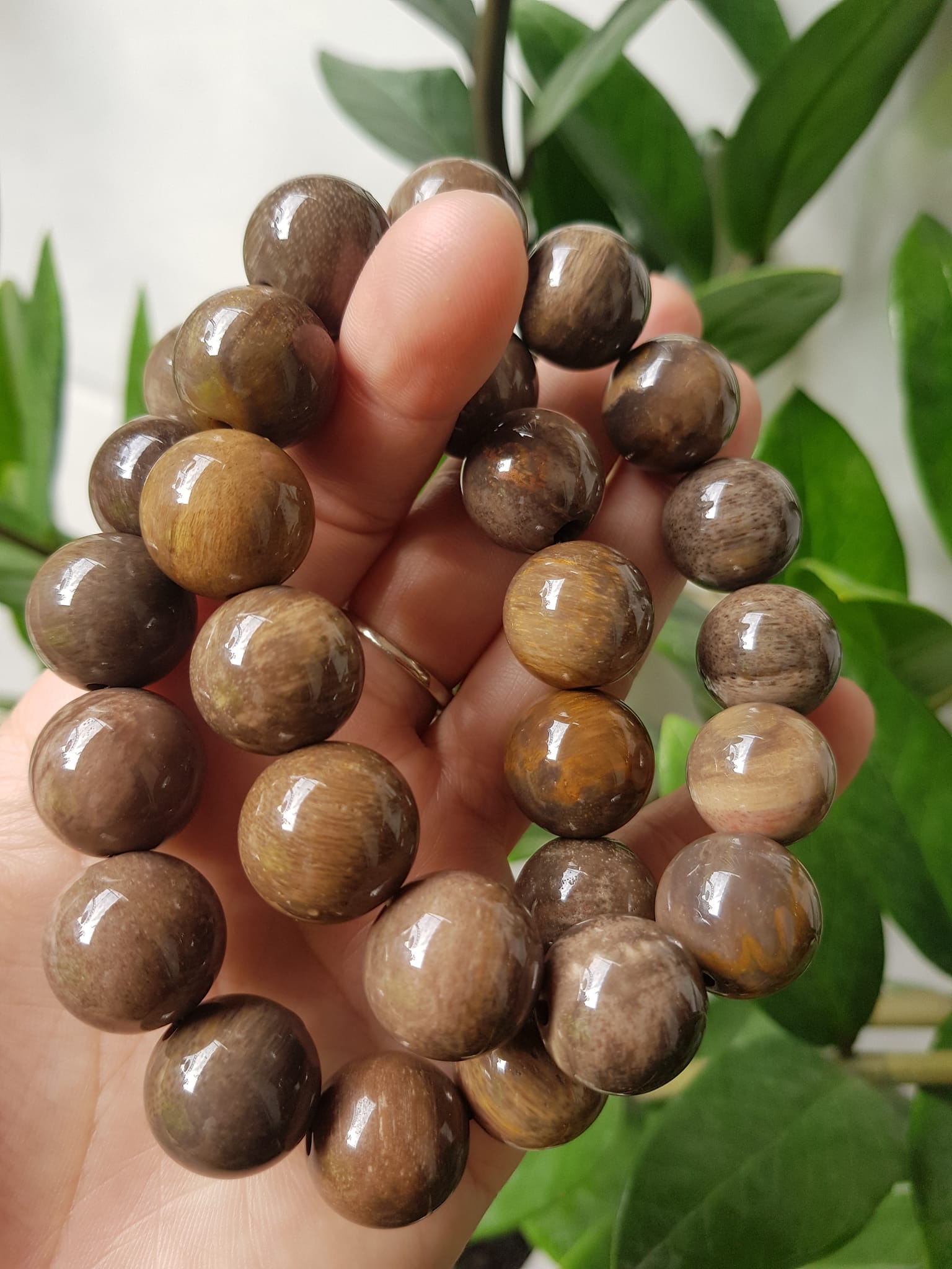 Vòng Gỗ Hóa Thạch Nam 16mm Màu Sáng Bóng Tự nhiên Gỗ Hóa Thạch Đẹp Nam đeo size vòng 16mm sang tay ạ