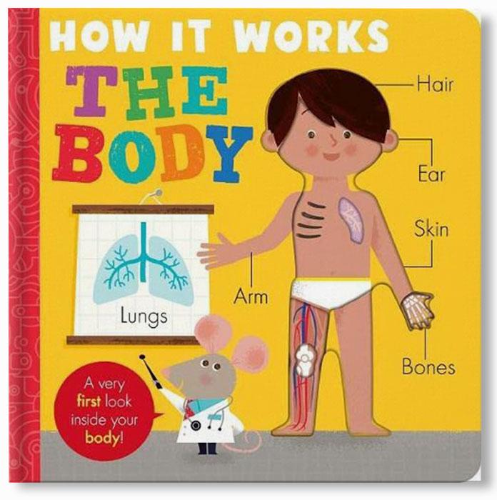 How it Works: The Body