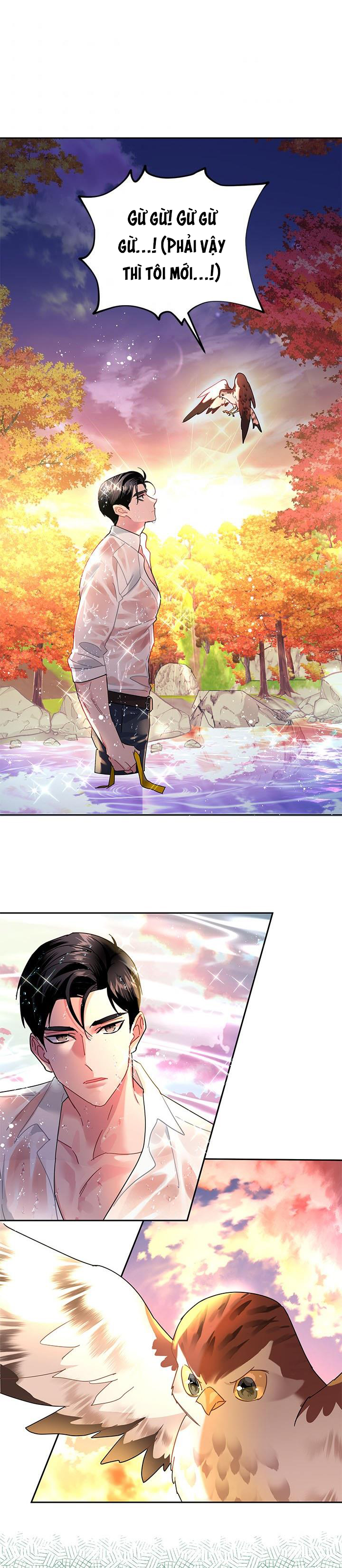 công chúa của loài chim chapter 30 14