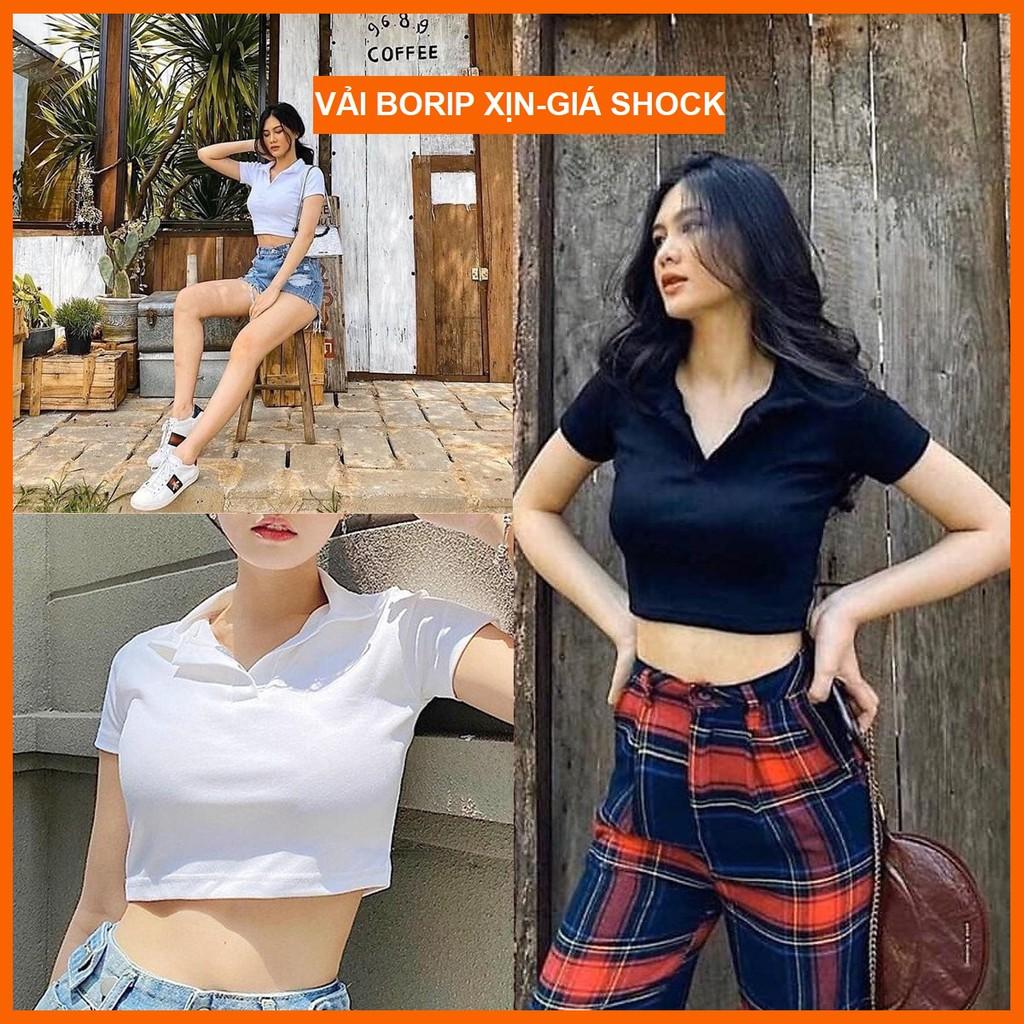 áo croptop nữ áo kiểu ngắn tay - áo croptop trễ vai tay ngắn form polo