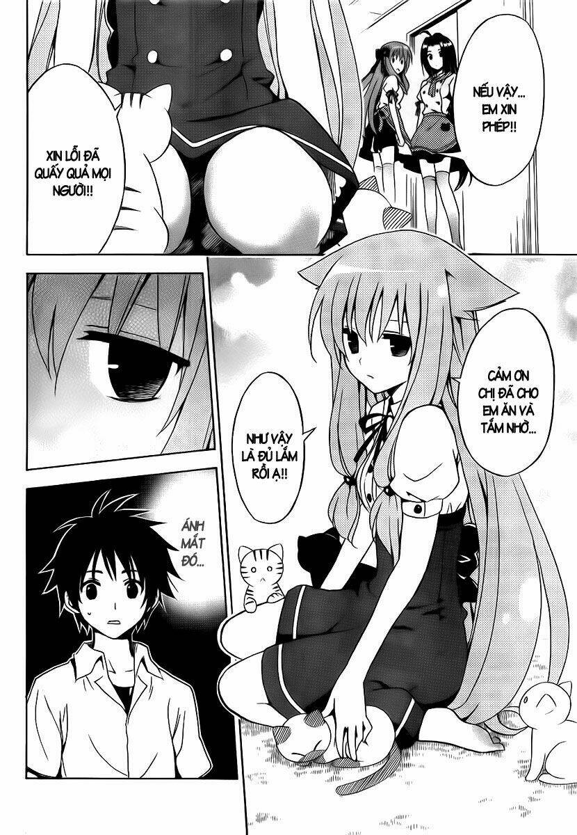 mayoi neko overrun! chapter 1 36