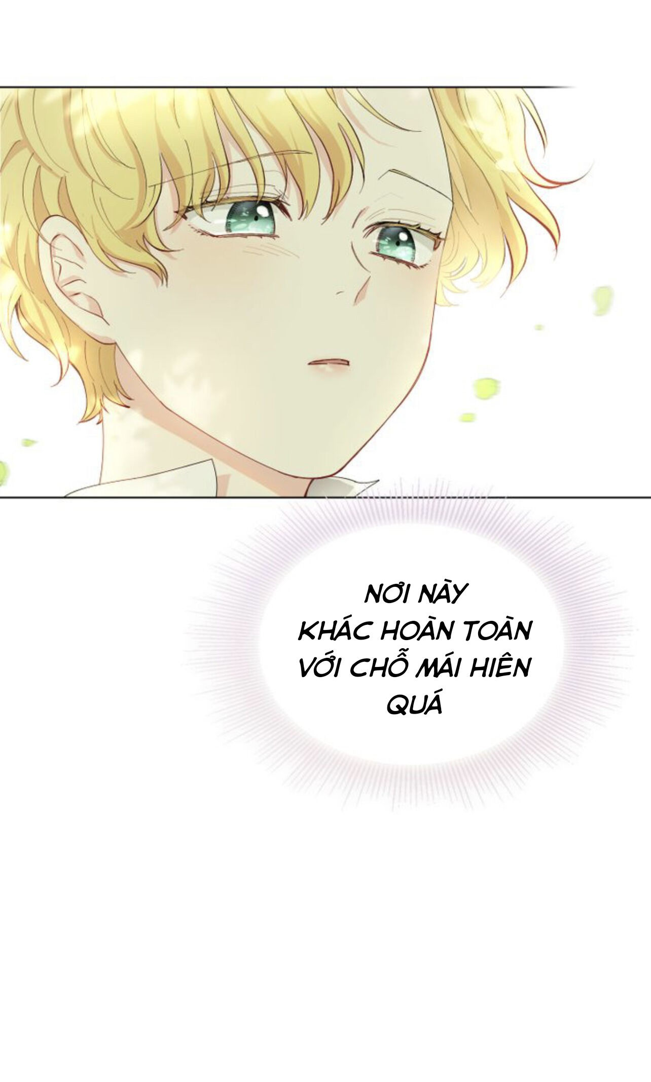 tìm lại nàng camellia chapter 4 26