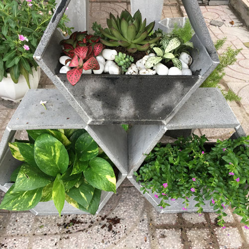 Combo 3 chậu trồng cây hình lục giác xinh xắn treo tường hoặc để bàn bằng đá ong xám tự nhiên