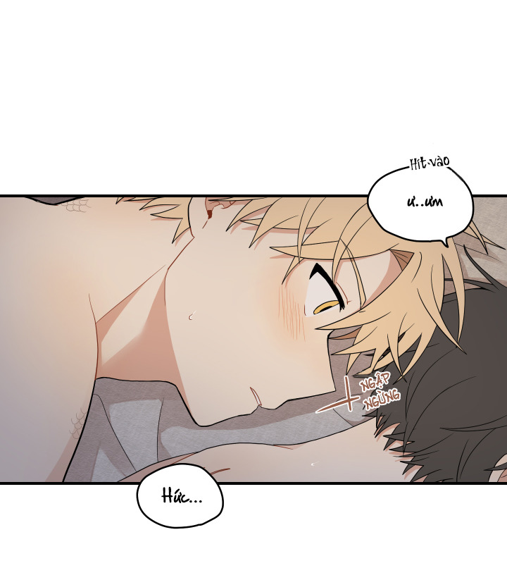 đường hoa liên kiều rơi chapter 17 69