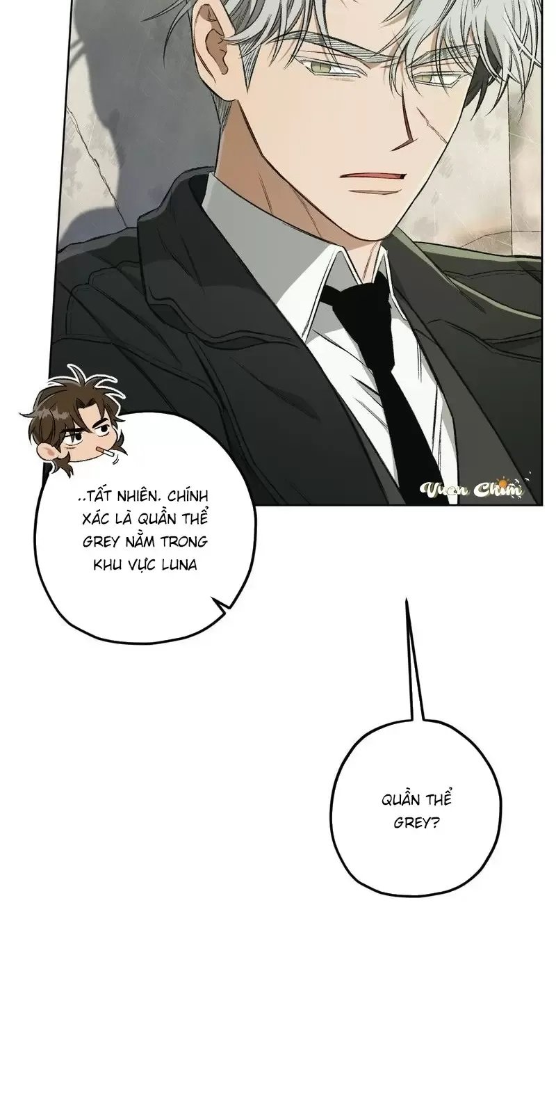 liveta chapter 64 68