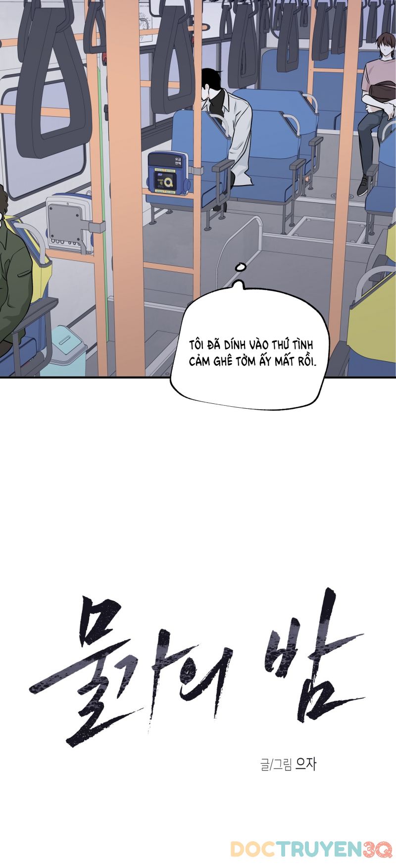 đêm bên bờ biển chapter 49.5 14