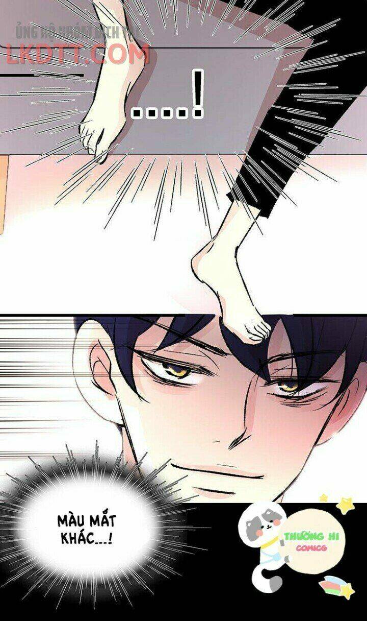 từng bước đến bên anh chapter 2 78