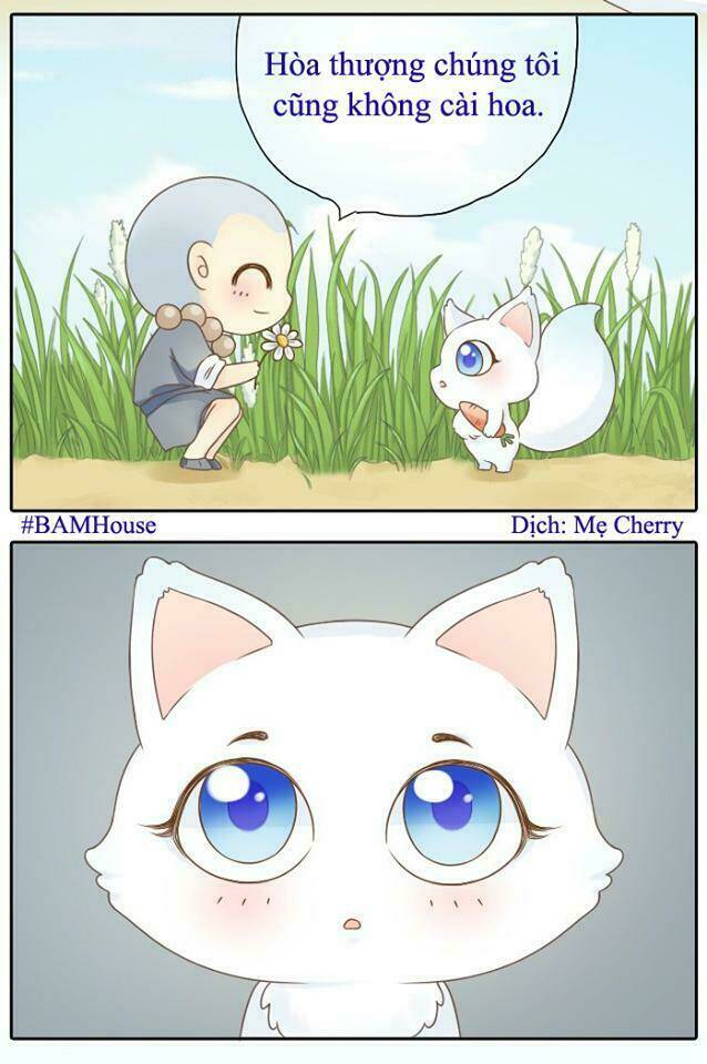 tiểu hồ ly vs tiểu hóa thượng chapter 2 8