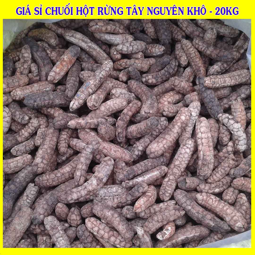 Cung cấp sỉ Chuối Hột Rừng Tây Nguyên khô giá bán 20kg