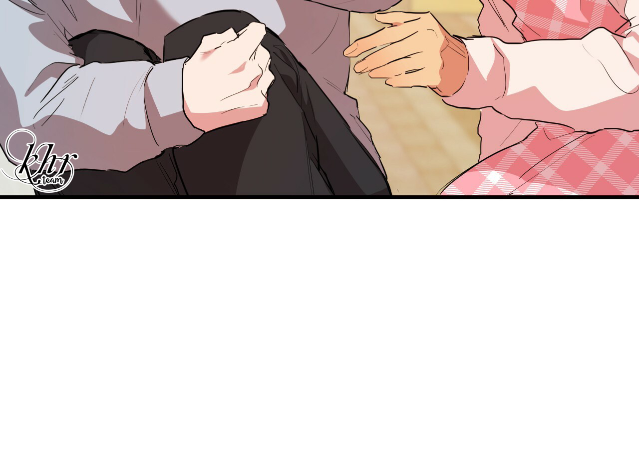 những chú thỏ của hapypy chapter 17 66