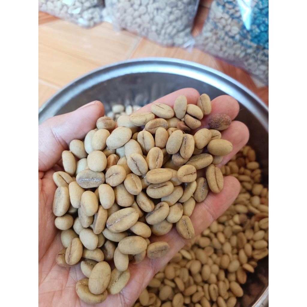 1 kg hạt giống cà phê Thiện Trường cao sản