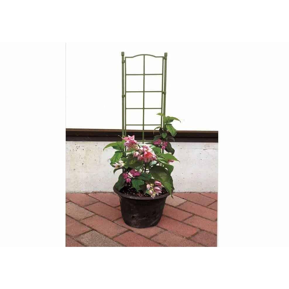 Khung trồng hoa leo cao 75cm loại ghép