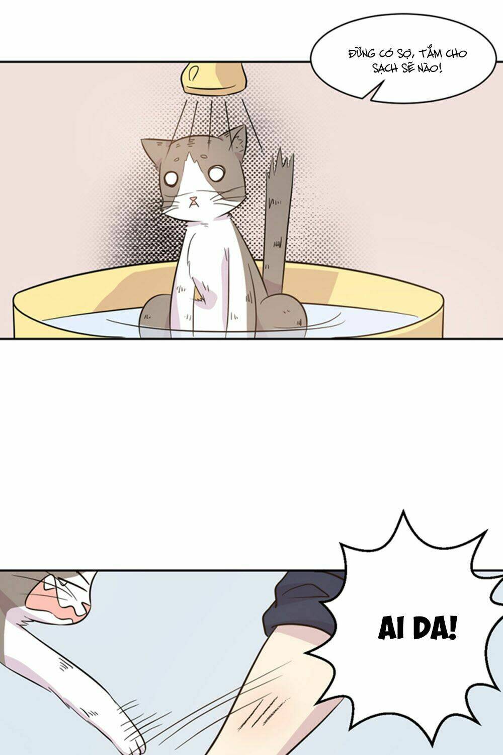 hai chú mèo totem chapter 18 10