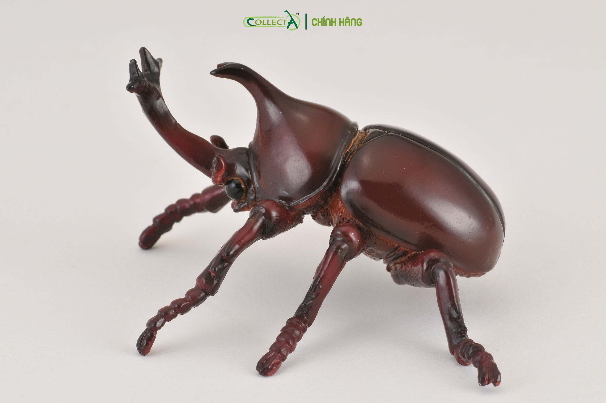 Mô hình thu nhỏ: Kiến Vương - Rhinoceros Beetle, hiệu: CollectA, mã HS 9653100[88337] -  Chất liệu an toàn cho trẻ - Hàng chính hãng