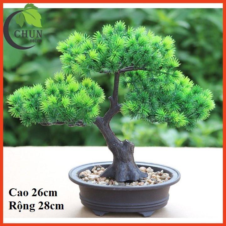 Cây thông giả, chậu cây bonsai cao 19-26cm để bàn, trang trí kệ, bàn làm việc tủ độc đáo