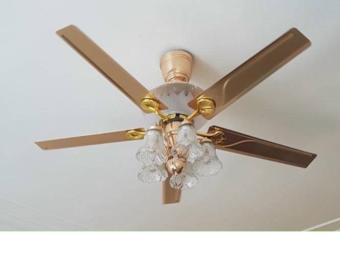 Đèn quạt MONSKY JIEN mang phong cách Châu Âu hiện đại- kèm bóng LED chuyên dụng