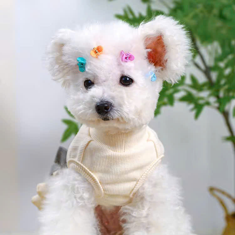 NƠ KẸP TÓC CÀI TÓC THỜI TRANG DỄ THƯƠNG 09 CHO THÚ CƯNG CHÓ MÈO