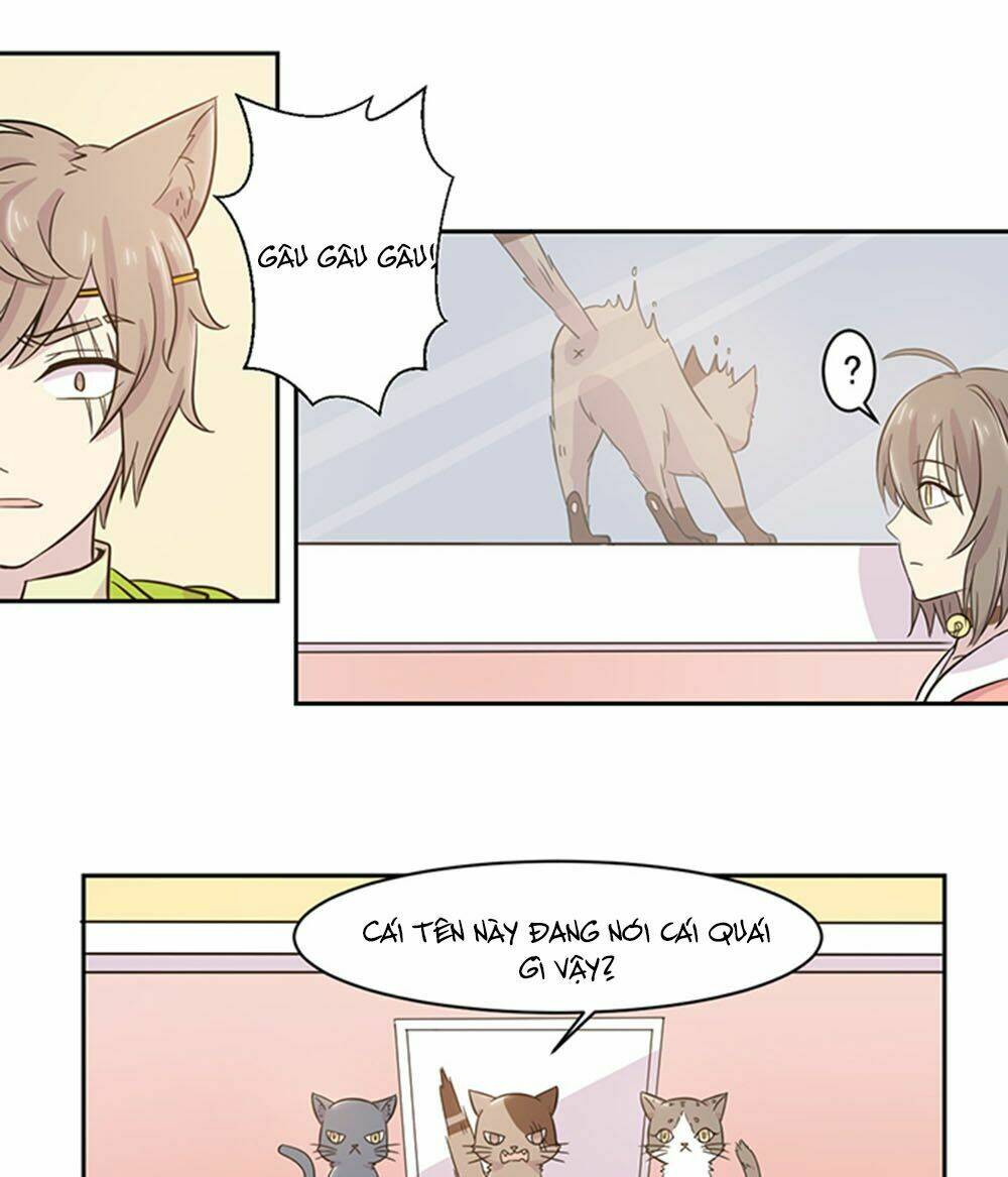 hai chú mèo totem chapter 21 14
