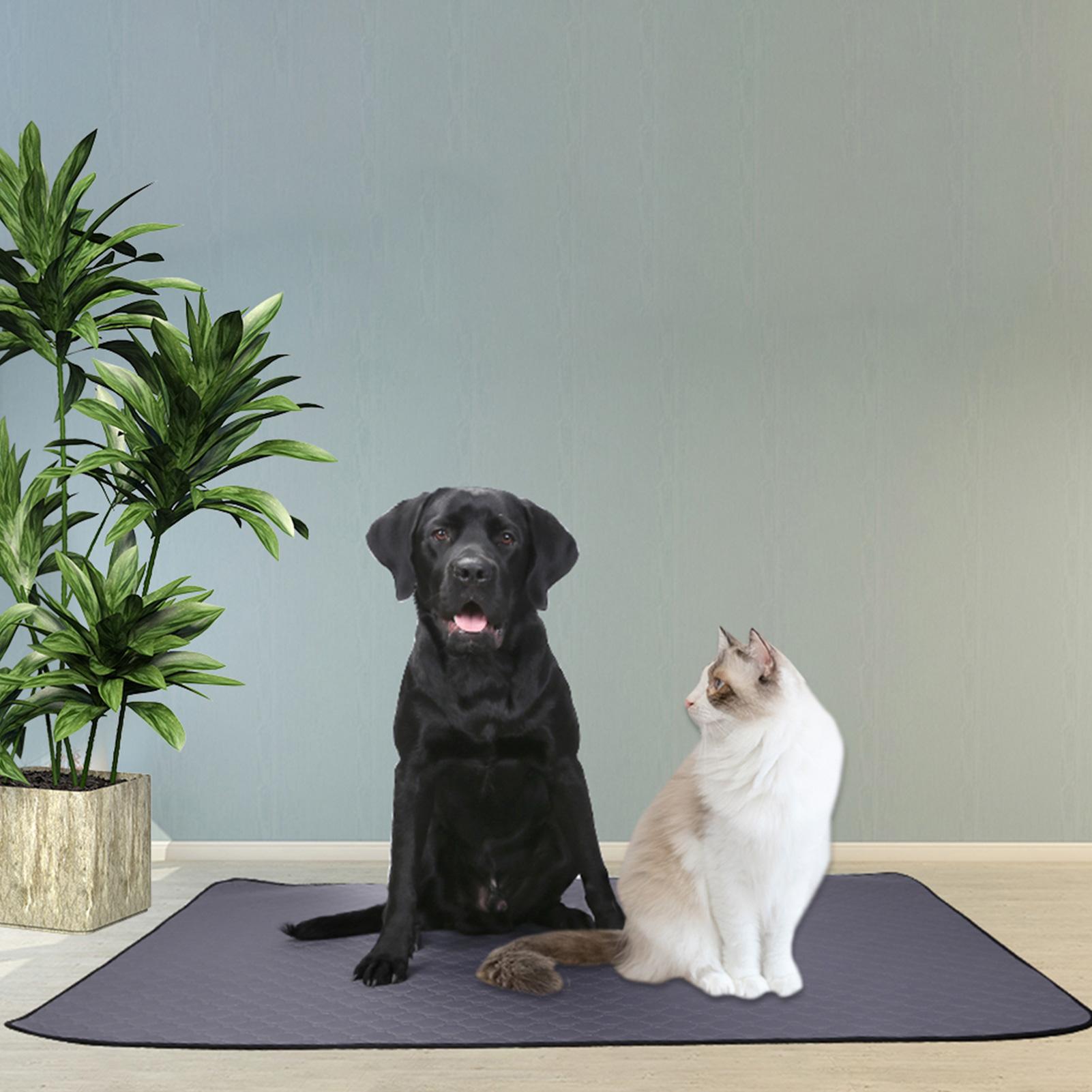 Miếng lót vệ sinh cho chó có thể giặt được, không trơn trượt