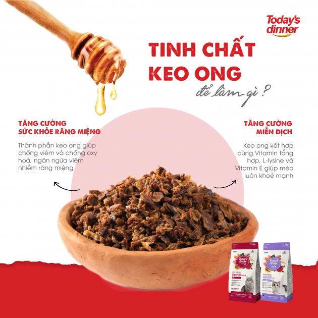 Thức Ăn Hạt Today's Dinner Kitten Dành Cho Mèo Nhỏ Gói 1kg - YonaPetshop